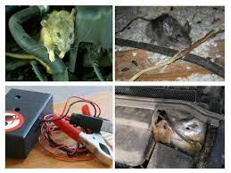 We did not find results for: Tikus Masuk Ke Dalam Kereta Bagaimana Untuk Menghilangkannya