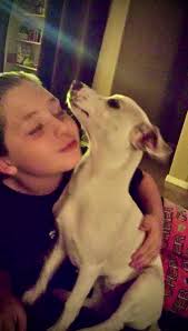 Fundraiser by haley camacho : Save Blue: My Childhood Friend