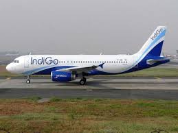 Image result for indigo flight