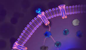 The fda approved keytruda (pembrolizumab) for stage 3 melanoma patients who underwent a complete resection of their tumor. Keytruda For Mesothelioma Flops In Phase Iii Clinical Trial