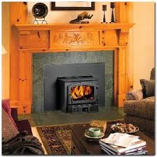 Cooktop Wood Stove Insert Cooktop Incase The Power Goes Out Wood Fireplace Inserts Wood Stove Fireplace Insert Wood Stove Fireplace