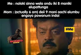 Panchikawatta meme zone