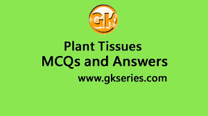 Maybe you would like to learn more about one of these? Plant Tissues Multiple Choice Questions And Answers Plant Tissues Quiz