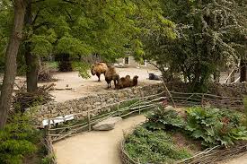 Pin Auf Parc Animalier
