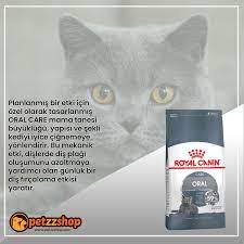 kedi mamasi panosundaki pin