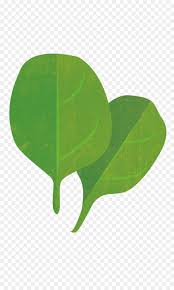 We did not find results for: Makanan Bayi Bayam Koki Gambar Png