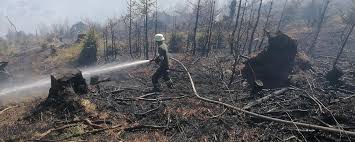 Hoffen auf Regen im Waldbrandgebiet