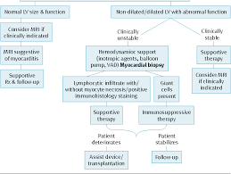 Symptoms can include shortness of breath, chest pain, decreased ability to exercise, and an irregular heartbeat. Pdf Acute Viral Myocarditis Current Concepts In Diagnosis And Treatment Semantic Scholar
