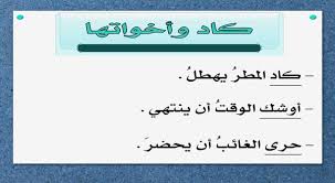 بحث عن كاد وأخواتها أفعال المقاربة والرجاء والشروع أنا البحر