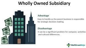 What is the purpose of a subsidiary company? Wholly Owned Subsidiary Definition Examples Beginner S Guide