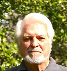 Horseshoe Crab Exhibit