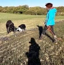 Complexe canin de la gravié pension canine, education.