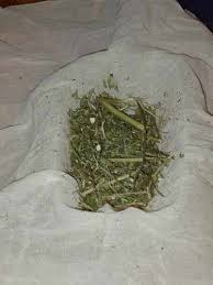 Faire Du Skuff Hash Et Skuff Cannaweed