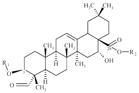 Image result for Quillaja saponaria