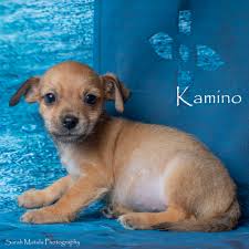 Sarah Matula Photography added...