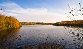 Mariä empfängnis velbert, franziskaner kloster, nevigeser wallfahrtsdom. Restaurant Kleine Schweiz Umgebung