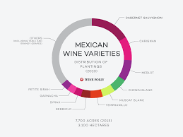 an overview of mexican wine country wine folly