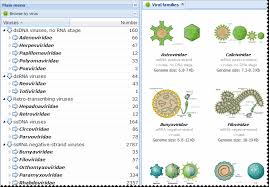 Dbatvir Help Document