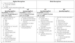 A Nice Probably Incomplete Chart Of What Common