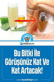 Bu Bitki Ile Gorusunuz Kat Ve Kat Artacak Faydali Bilgin Bitki Saglik Saglik Bakim