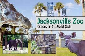 November 2021 Jacksonville Zoo Promo Codes Coupons 90 Off