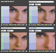 Fuji X-E1 Review and Sample Images