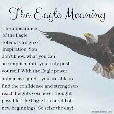 The Eagle Meaning Eagle Eagles Quotes Eagle Spirit Animal