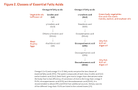 essential fatty acids linus pauling institute oregon