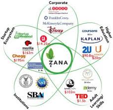 The Petal Diagram A New Way To Look At Competitors By Steve Blank Start Up Competitive Analysis Competitive Intelligence
