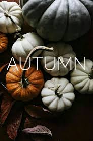 10 best and most recent fall pumpkin computer backgrounds for desktop with full hd 1080p (1920 × 1080) free download. Autumn Pumpkin Fall Wallpaper Background Iphone Halloween Quotes Autumn Inspiration Autumn Aesthetic Pumpkin