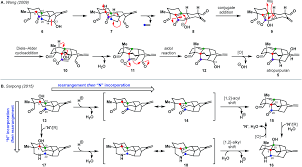 The most popular type of hybrid chain is the pow/pos hybrid, which typically uses an initial pow consensus in a limited manner, and then uses pos to validate blocks added to the blockchain. Retrosynthetic Strategies And Their Impact On Synthesis Of Arcutane Natural Products Chemical Science Rsc Publishing