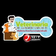 VETERINARIA Dr. Leonardo Vargas M