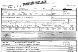 Free printable police report template word documents. Domestic Violence Incident Report Pengu