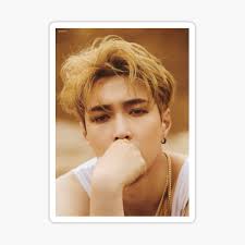 On may 20, lay released a teaser of honey music. Exo Lay Stickers Redbubble