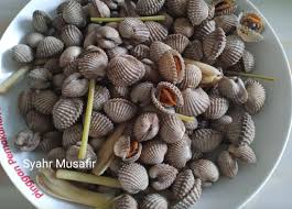 Kerang rebus antara menu paling mudah dan cepat penyediannya. Cara Rebus Kerang Tanpa Guna Air Isi Lebih Lembut Tak Liat