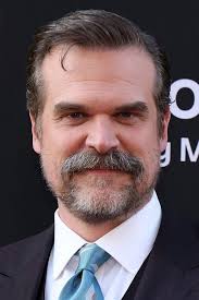 David Harbour sparks controversy after Millie Bobby Brown bullying  allegations surface