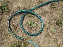 Image result