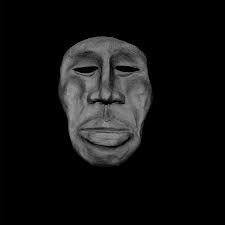 MaM catalogue ii: MaM catalogue ii