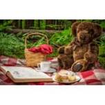 Teddy Bear's Picnic
