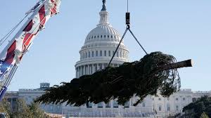 Der produktionsprocess des kapitals) is a treatise written in the tradition of classical political economy first published on 14 september 1867 by german communist karl marx. U S Capitol 2020 Christmas Tree Arrives In Washington D C 9news Com