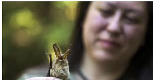 Extraordinary Women Leaders in Speleology (EWLS)