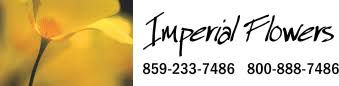 Maybe you would like to learn more about one of these? Florist Lexington Ky Florist Near Me Imperial Flowers