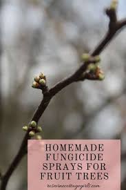 Fruit trees aren't as carefree as you might like. 4 Easy Homemade Fungicide Sprays For Fruit Trees