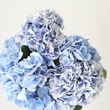 Check spelling or type a new query. Silk Wedding Flowers Shop Artificial Flowers By Color At Afloral Afloral Com