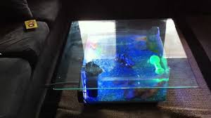 This is particularly important when it comes to ensuring that the coffee table aquarium is cleaned on a regular basis. Fish Tank Coffee Table Aquarium Coffee Table Realcoolgadgets Com