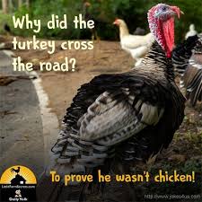 Why Did The Turkey Cross The Road Memes Jokes Sillyjokes Teshil Com Cute Jokes Silly Jokes Funny Puns Jokes