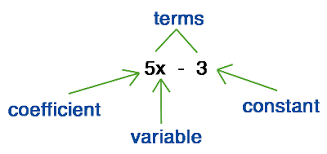 We did not find results for: Algebraic Expressions At A Glance