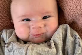 Sarah Osman (@smickalsen) • Instagram photos and videos