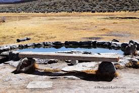 The pool consists of a manmade cement tub with water piped in from a mineral spring about 30 feet away. Crab Cooker Hot Springs Eastern California Hot Springs Locator