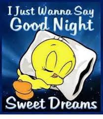 Top Romantic Goodnight Memes Messages For Her Good Night Funny Good Night Quotes Cute Good Night